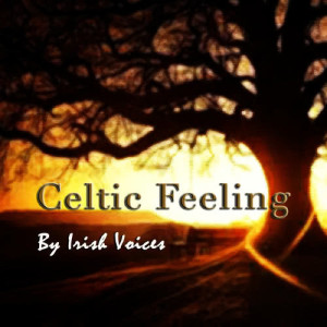 收聽Irish Voices的Decode歌詞歌曲
