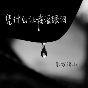 Album 凭什么让我流眼泪 from 东方晴儿