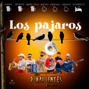 Listen to Los Pajaros song with lyrics from Los Pikadientes De Caborca