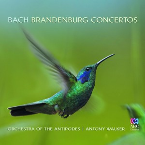 Album Bach: Brandenburg Concertos from Antony Walker