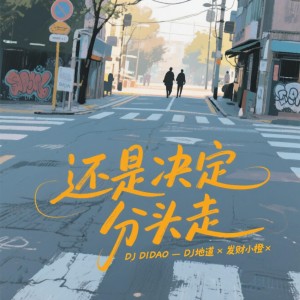 Album 还是决定分头走（合唱DJ版） from 和言