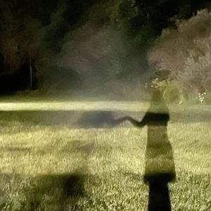 Jiangie的專輯a ghost thats in love with fame