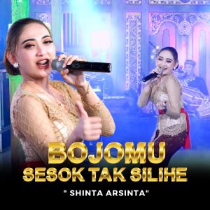 Dengarkan Bojomu Sesok Tak Silihe lagu dari Shinta Arsinta dengan lirik