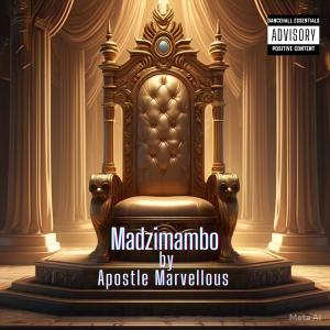 Marvellous的專輯Madzimambo