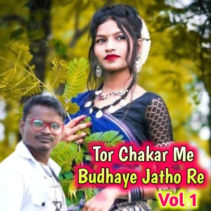 Listen to Tor Chakar Me Budhaye Jatho Re, Vol. 01 song with lyrics from Kamal Raj Sandilya