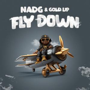 Album Fly Down oleh Nadg