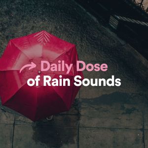 Rain Sounds & White Noise的專輯Daily Dose of Rain Sounds