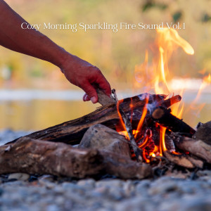 Album Cozy Morning Sparkling Fire Sound Vol. 1 from Relaxing Sleep Music