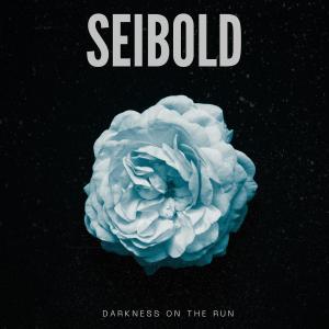 收聽Seibold的Ain't It Amazing歌詞歌曲
