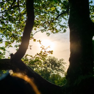 ดาวน์โหลดและฟังเพลง Uma Bera พร้อมเนื้อเพลงจาก Avant-R