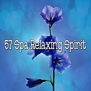 收聽Sleep Sounds of Nature的Truly Beautful Sleep歌詞歌曲