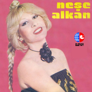 Album Göz Göre Göre / Olmuş Bitmiş Deme from Neşe Alkan