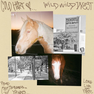Cold Hart的专辑Wild Wild West (Explicit)