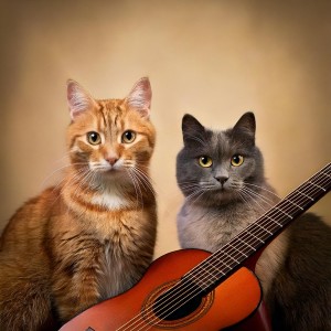 Guitar Covers的專輯Relaxing Moments: Guitar Music for Pets