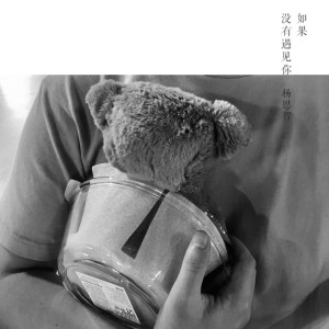 Listen to 如果没有遇见你 (完整版) song with lyrics from 杨思智