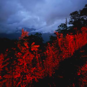 ดาวน์โหลดและฟังเพลง Oath พร้อมเนื้อเพลงจาก Supercollider