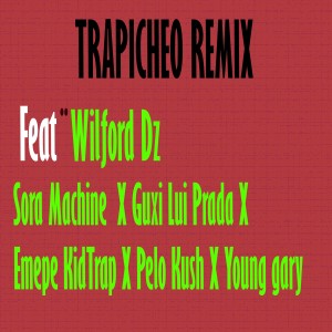 Listen to Trapicheo song with lyrics from Wilford Dz