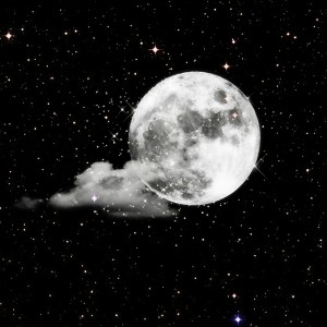 Listen to Prog House (DY版) song with lyrics from 菜阮阮