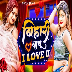 Listen to Bihari Babu I Love You song with lyrics from Guddu Gunjan