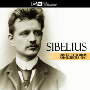 ดาวน์โหลดและฟังเพลง Violin Concerto in D Minor, Op. 47: III. Allegro ma non tanto พร้อมเนื้อเพลงจาก Peter Lilye