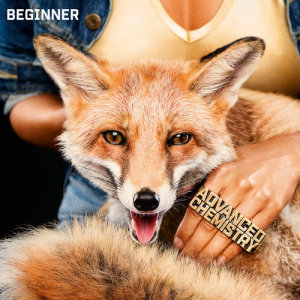 收聽Beginner的Foxy Music (Explicit)歌詞歌曲