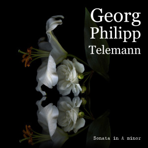 Georg Philipp Telemann的专辑Sonata in A minor