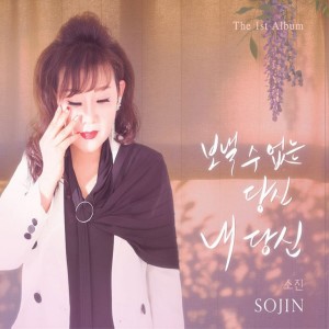 ดาวน์โหลดและฟังเพลง 내 당신 내 당신 พร้อมเนื้อเพลงจาก 소진