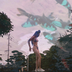 的專輯11