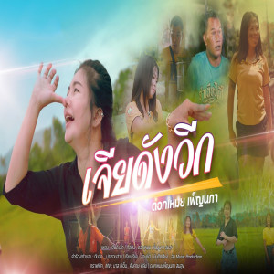 Listen to เจียดังวีก song with lyrics from ดอกเหมย เพ็ญนภา