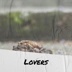 Listen to After Playfulness song with lyrics from Itty Cres