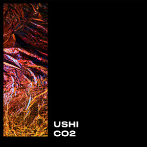 收聽USHI的Co2歌詞歌曲