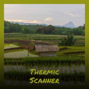 Various的专辑Thermic Scanner
