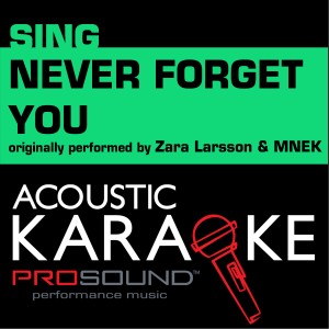 Never Forget You (Originally Performed by Zara Larsson & Mnek) [Instrumental Version]