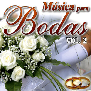 The Wedding Band的專輯Musica para  Bodas Vol.2