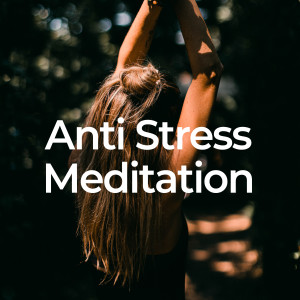 Entspannungsmusik Oase的專輯Anti Stress Meditation
