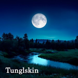 收听Tunglskin的On The Train歌词歌曲