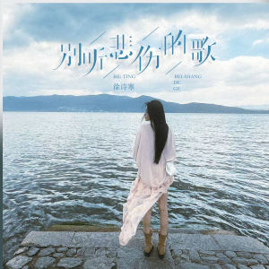 Listen to 别听悲伤的歌 song with lyrics from 徐诗寒