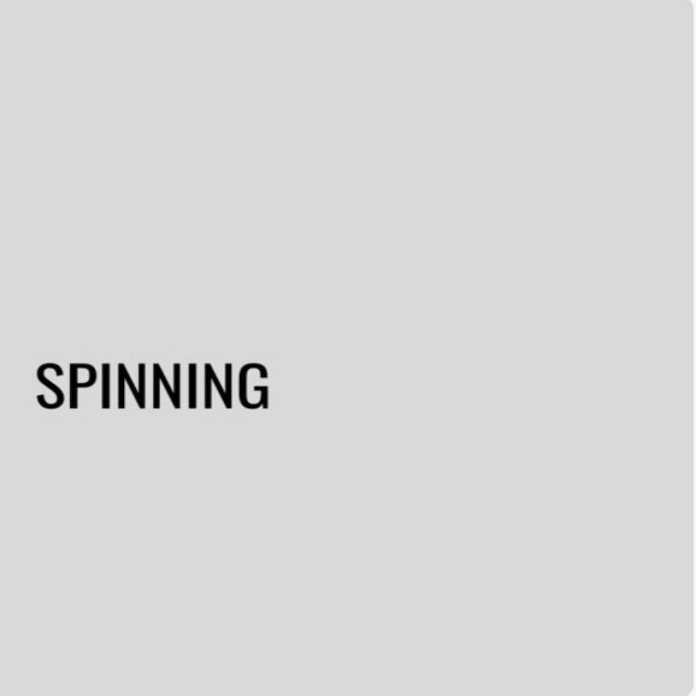 Spinning