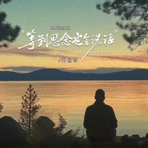 阿国哥的专辑等到思念也会说话（粤语金曲）