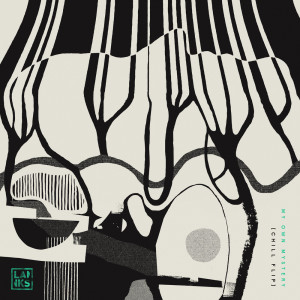 ดาวน์โหลดและฟังเพลง My Own Mystery (Chill Flip) พร้อมเนื้อเพลงจาก LANKS