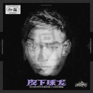 收聽梁維嘉的皮下球龍歌詞歌曲