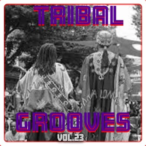 Umar M Sharif的专辑Tribal Grooves Vol. 23