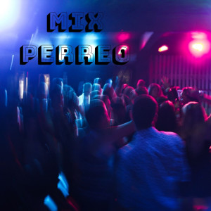 收听Dj Star的Perrea Lento歌词歌曲