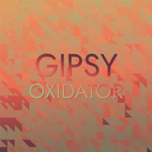 อัลบัม Gipsy Oxidator ศิลปิน Various