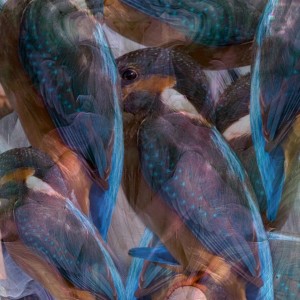 收聽Ishi Vu的Spell #1歌詞歌曲