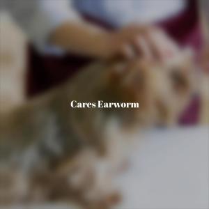 Listen to Cares Earworm song with lyrics from Doda Cruza