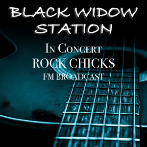 ดาวน์โหลดและฟังเพลง Black Widow Station (Live) พร้อมเนื้อเพลงจาก Suzanne Vega