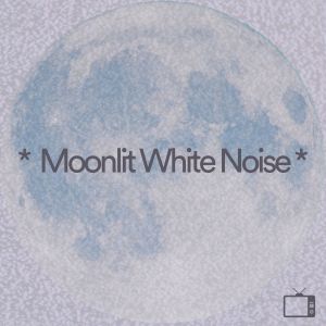 Album * Moonlit White Noise * oleh Sounds of Nature White Noise for Mindfulness
