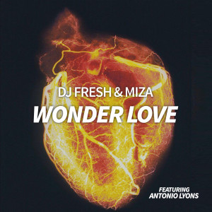 Album Wonder Love from Dj Fresh