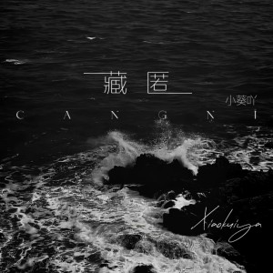 Listen to 藏匿 (伴奏) song with lyrics from 小葵吖